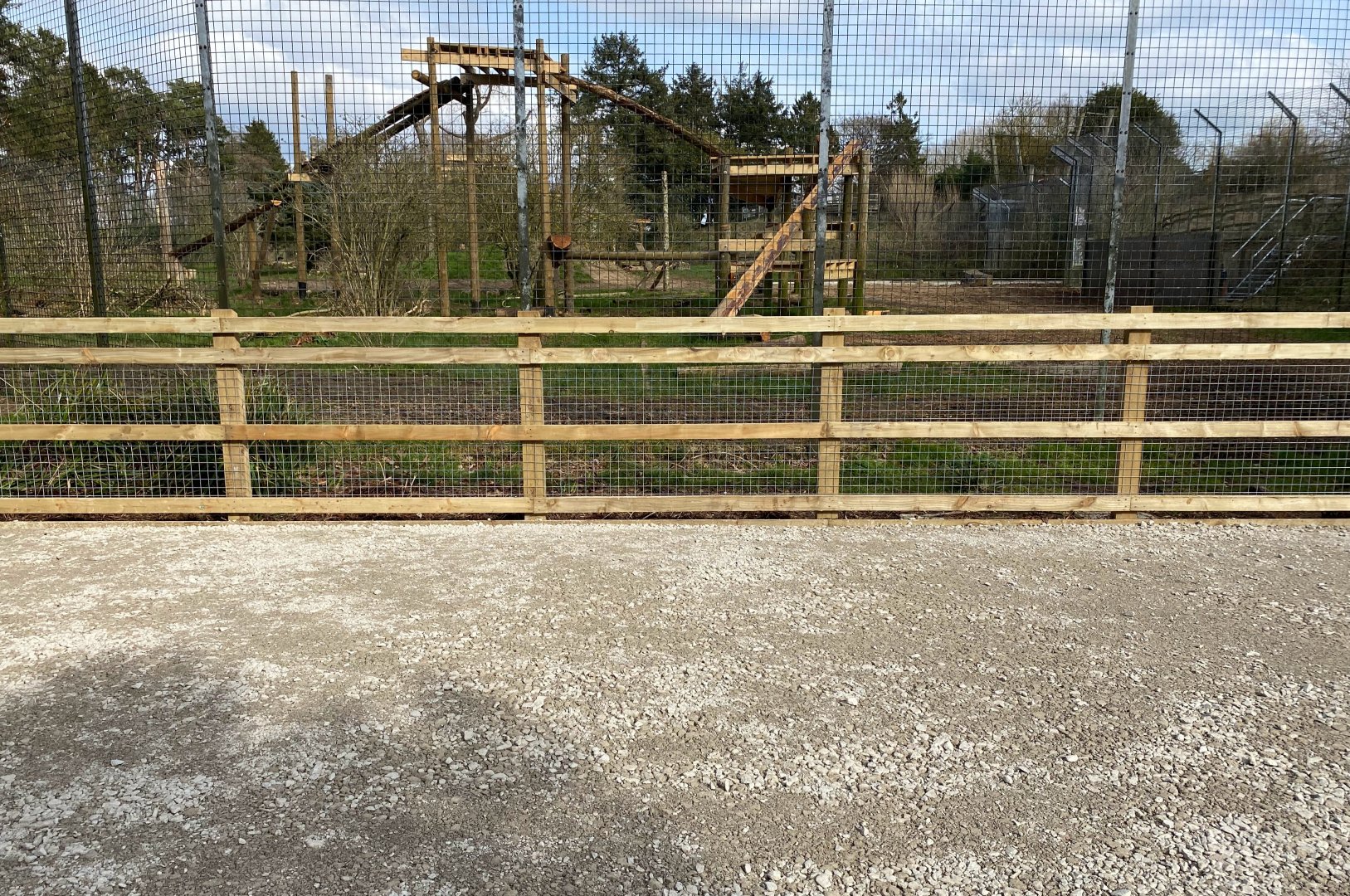 Tiger enclosure, new hard standing in viewing space, ZSL Whipsnade