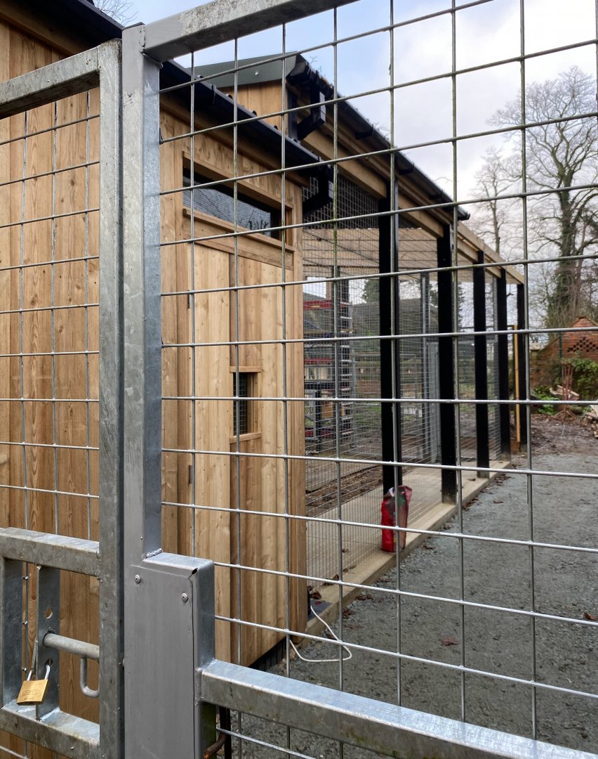 Tiger enclosure new housing and outside run, Thrigby Hall, UK