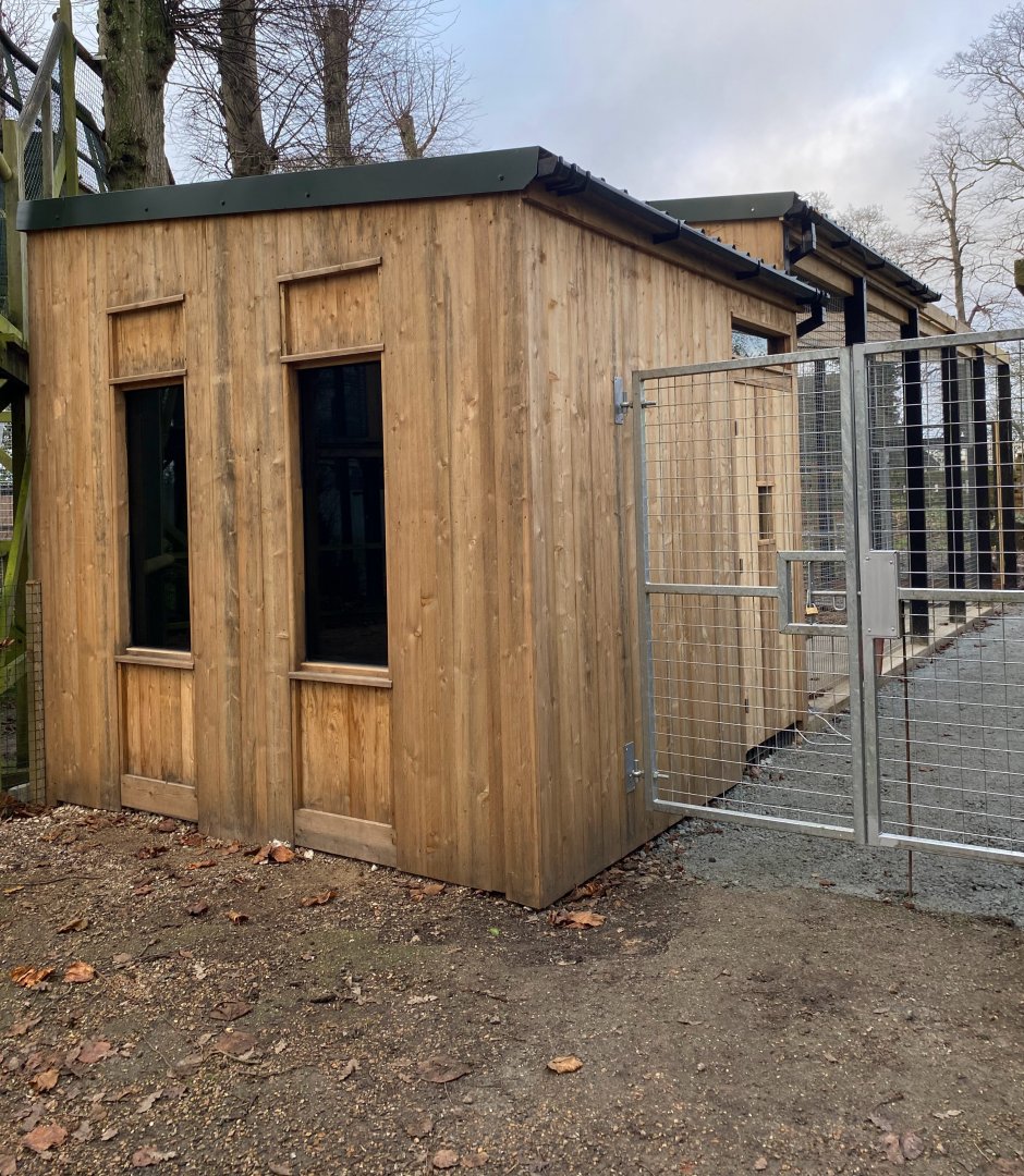 Tiger enclosure new housing, Thrigby Hall, UK