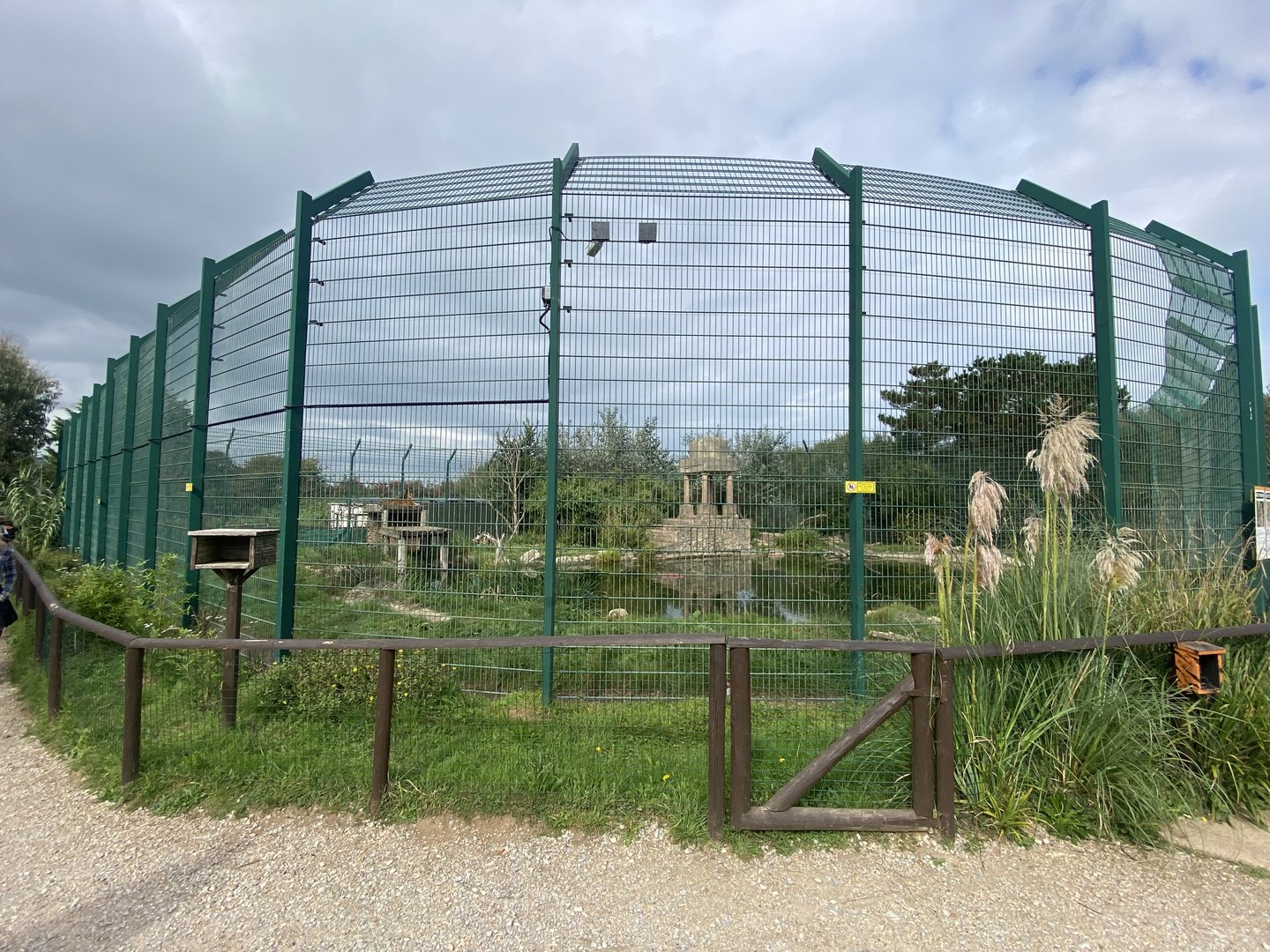 Tiger enclosure no.1 130923