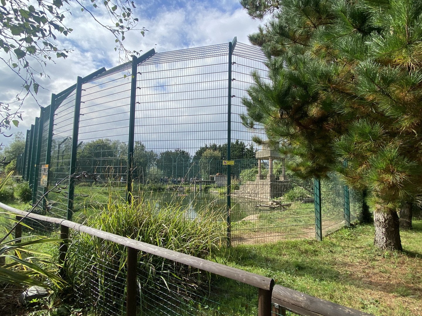 Tiger enclosure no.1 130923