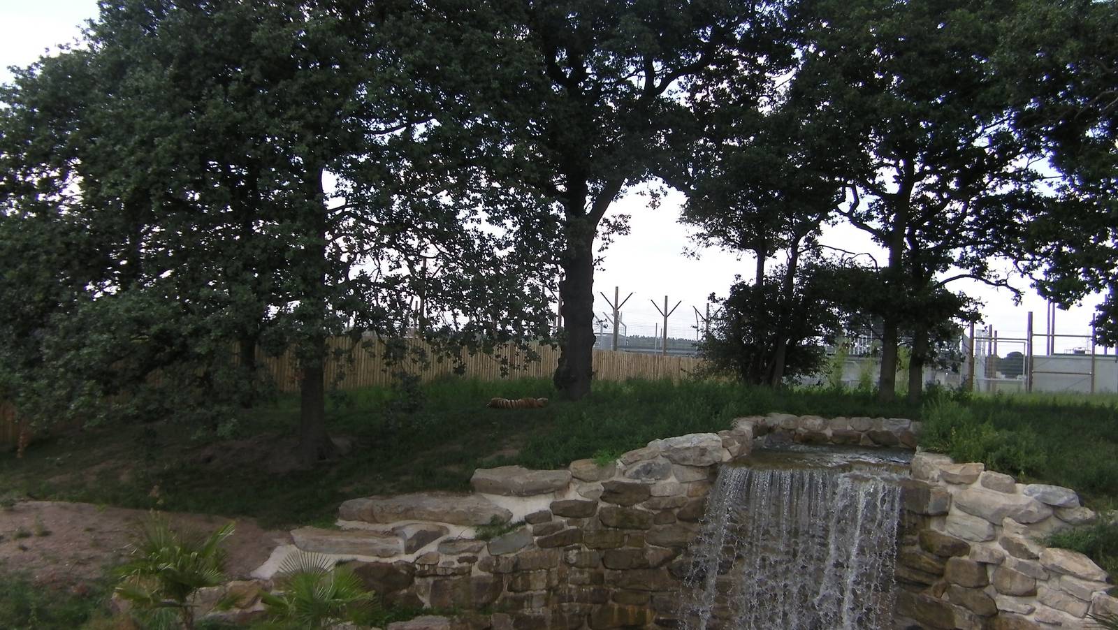 Tiger Enclosure No. 1 - 19.80.2011