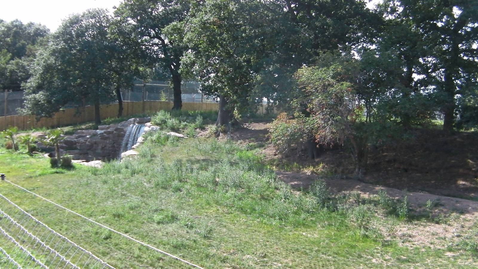 Tiger Enclosure No. 1 - 19.80.2011