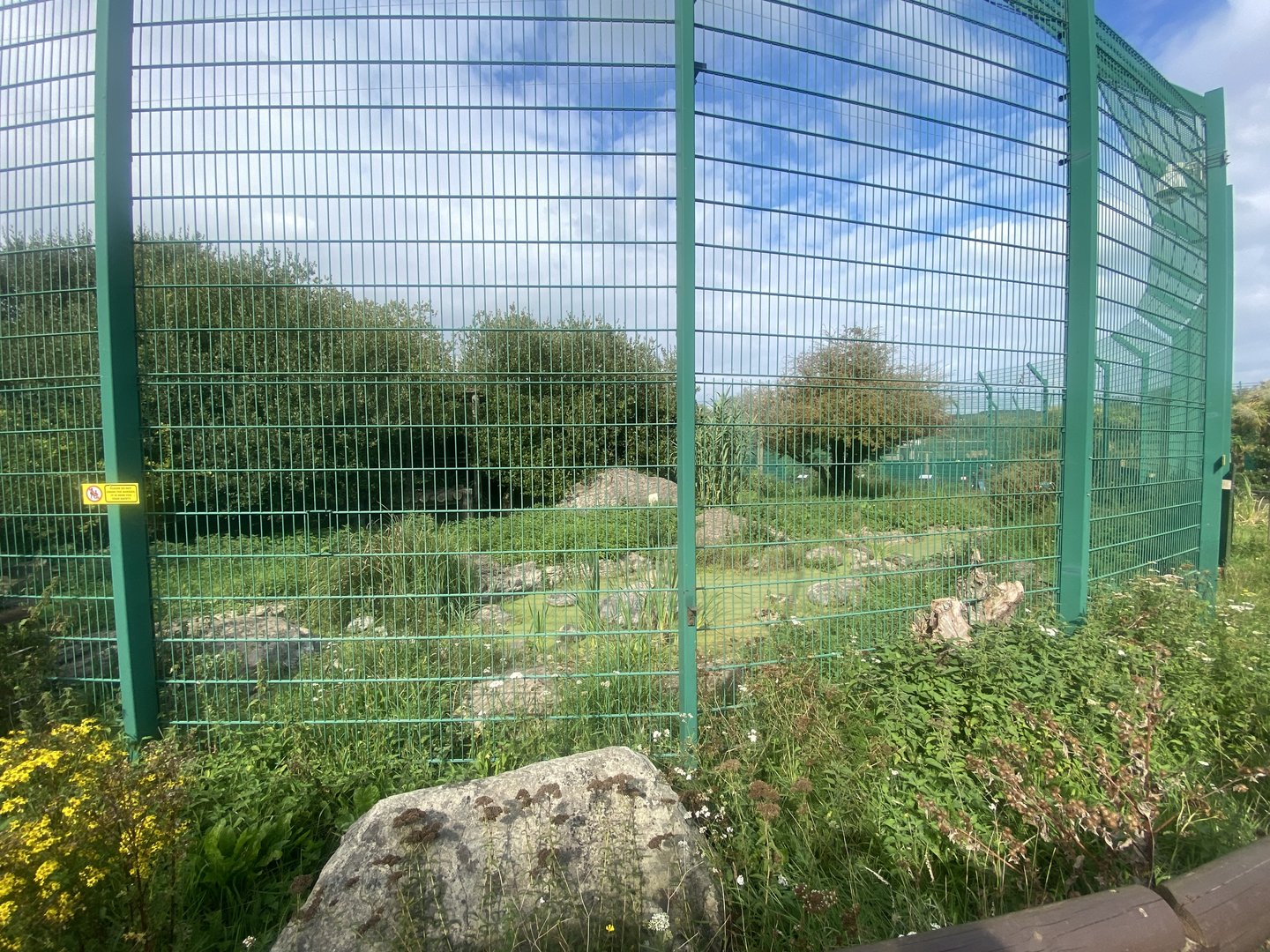 Tiger enclosure no.2 130923