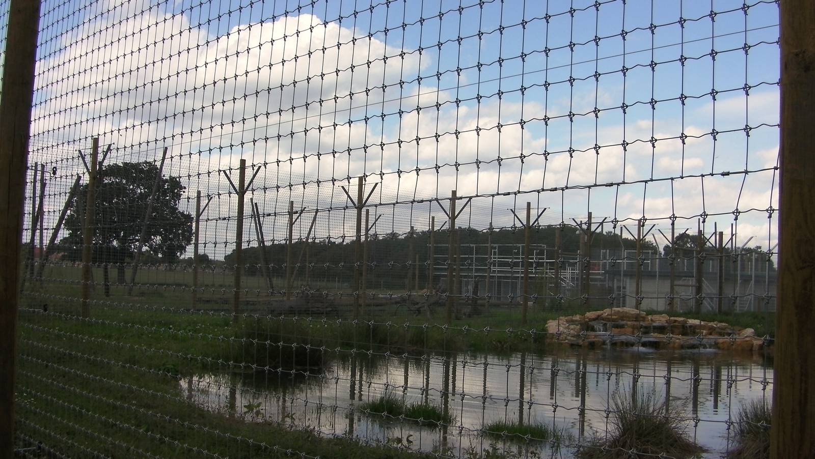 Tiger Enclosure No. 2 - 19.80.2011