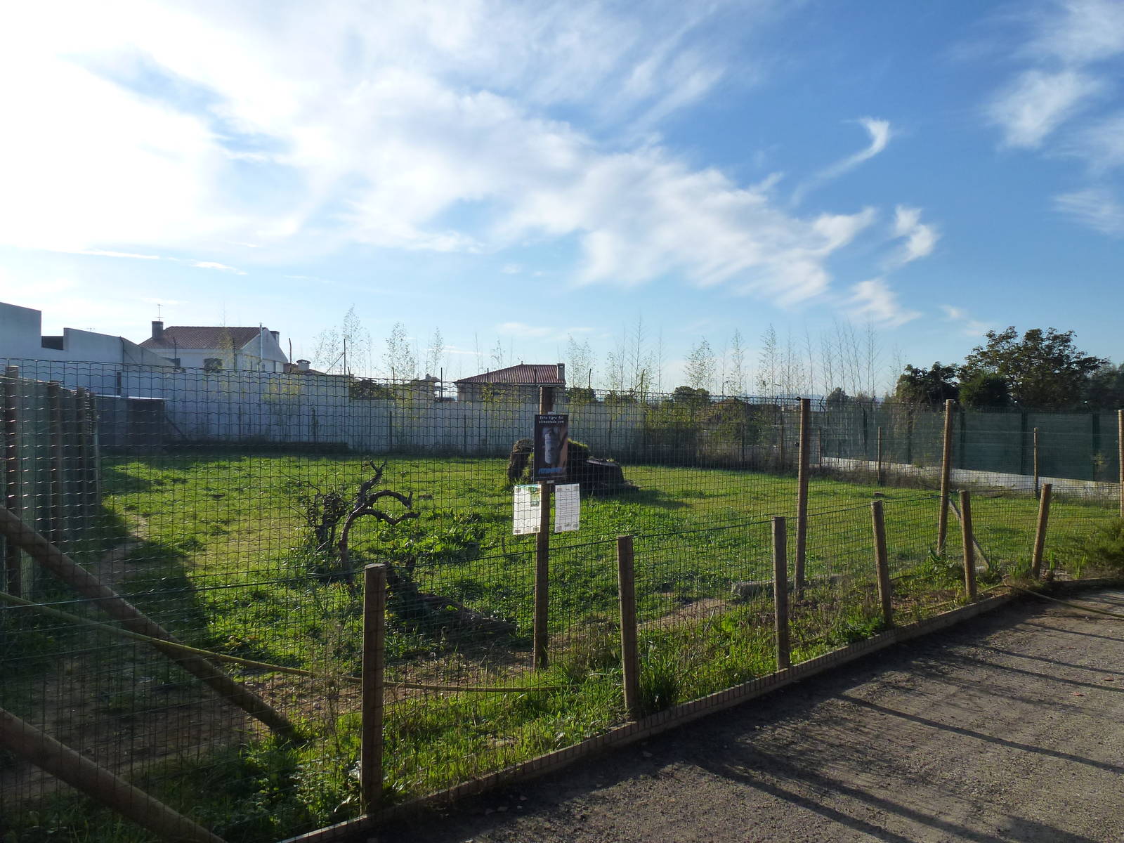 Tiger enclosure (!), November 2013.