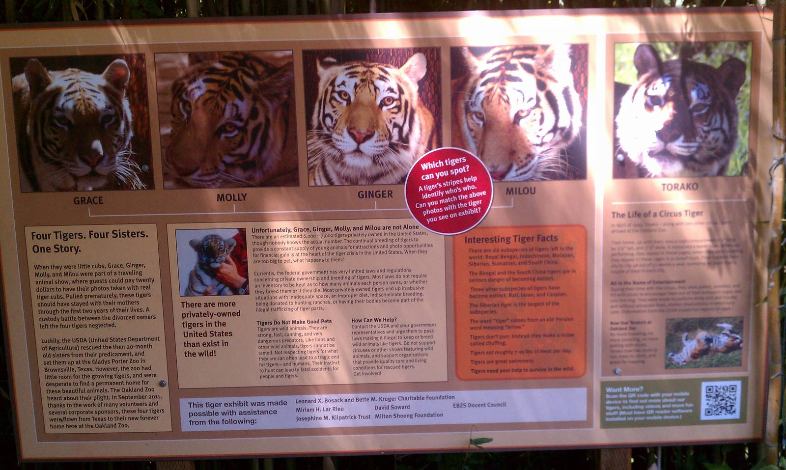 Tiger Enclosure Sign #2