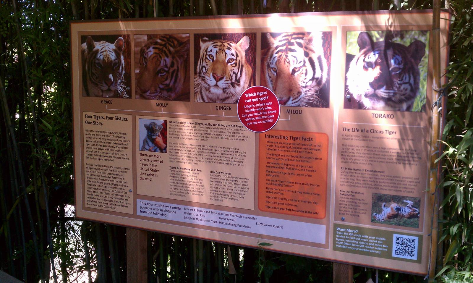 Tiger Enclosure Sign