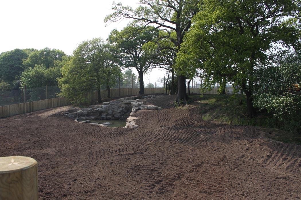 Tiger enclosure (the other one)