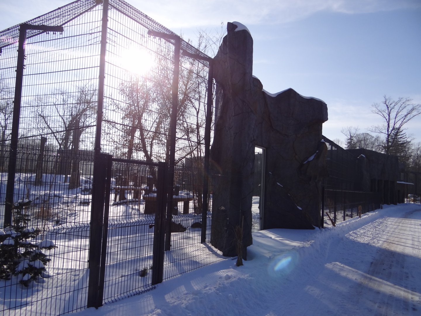 Tiger enclosure under construction