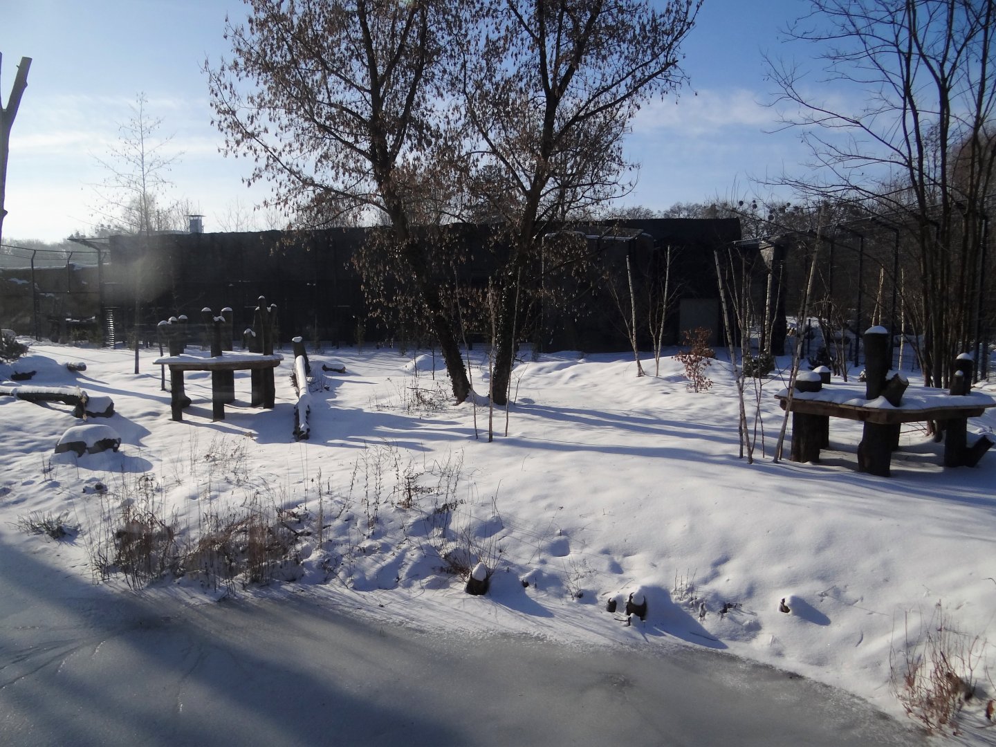 Tiger enclosure under construction