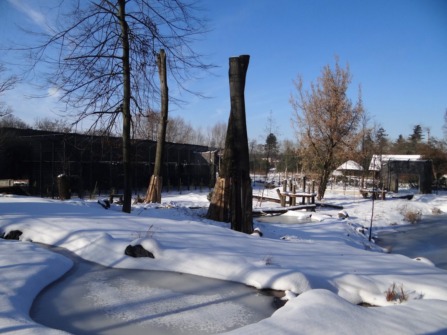 Tiger enclosure under construction