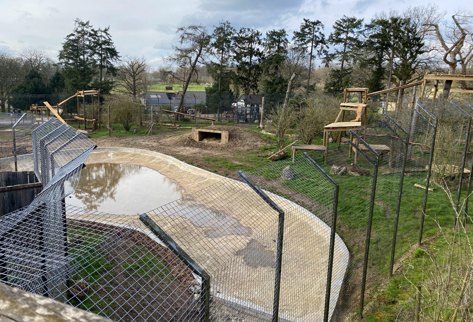 Tiger enclosure update complete with frames and expanded pond, ZSL Whipsnade