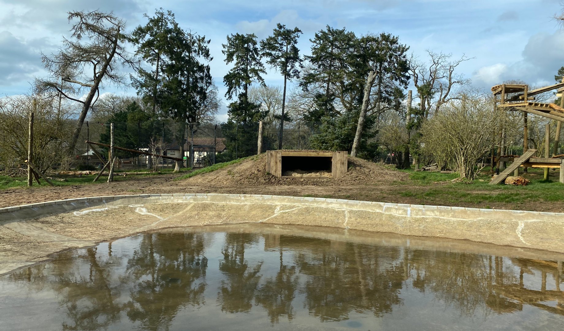 Tiger enclosure, updated pond area, ZSL Whipsnade