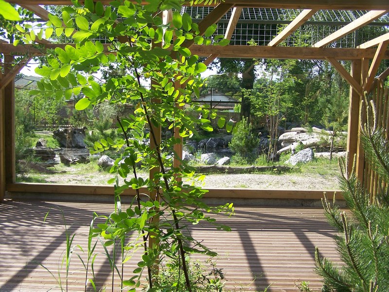 Tiger enclosure view