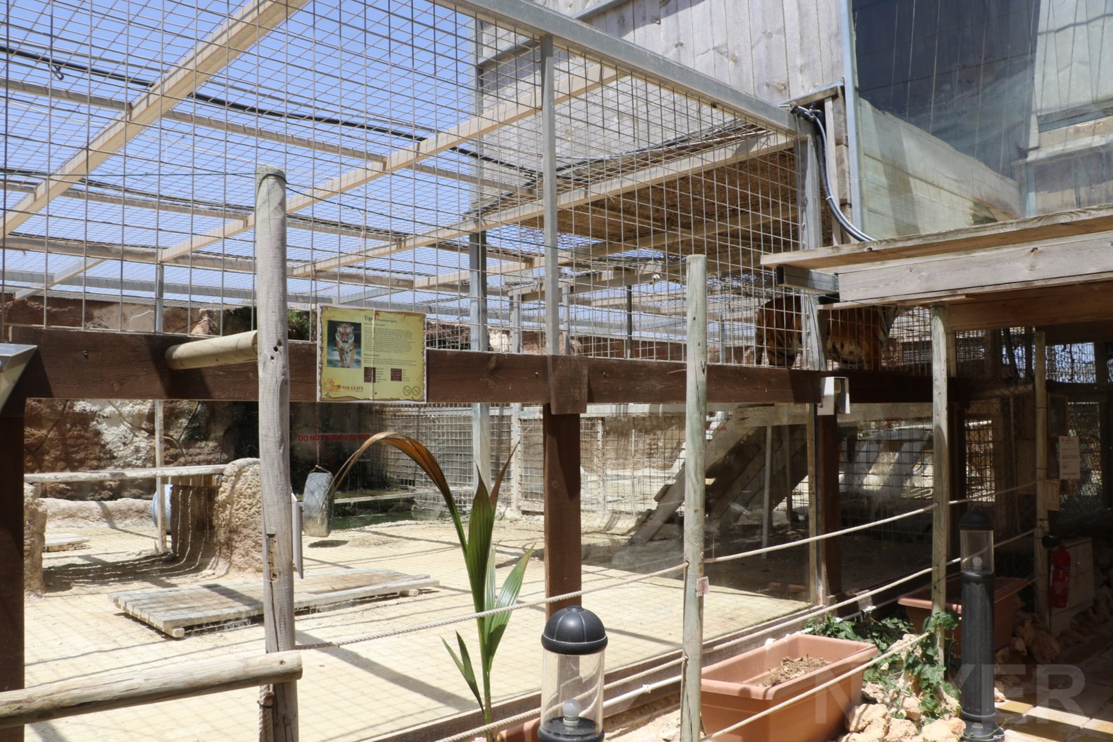 Tiger enclosure - Wildlife Park Malta, June 2019