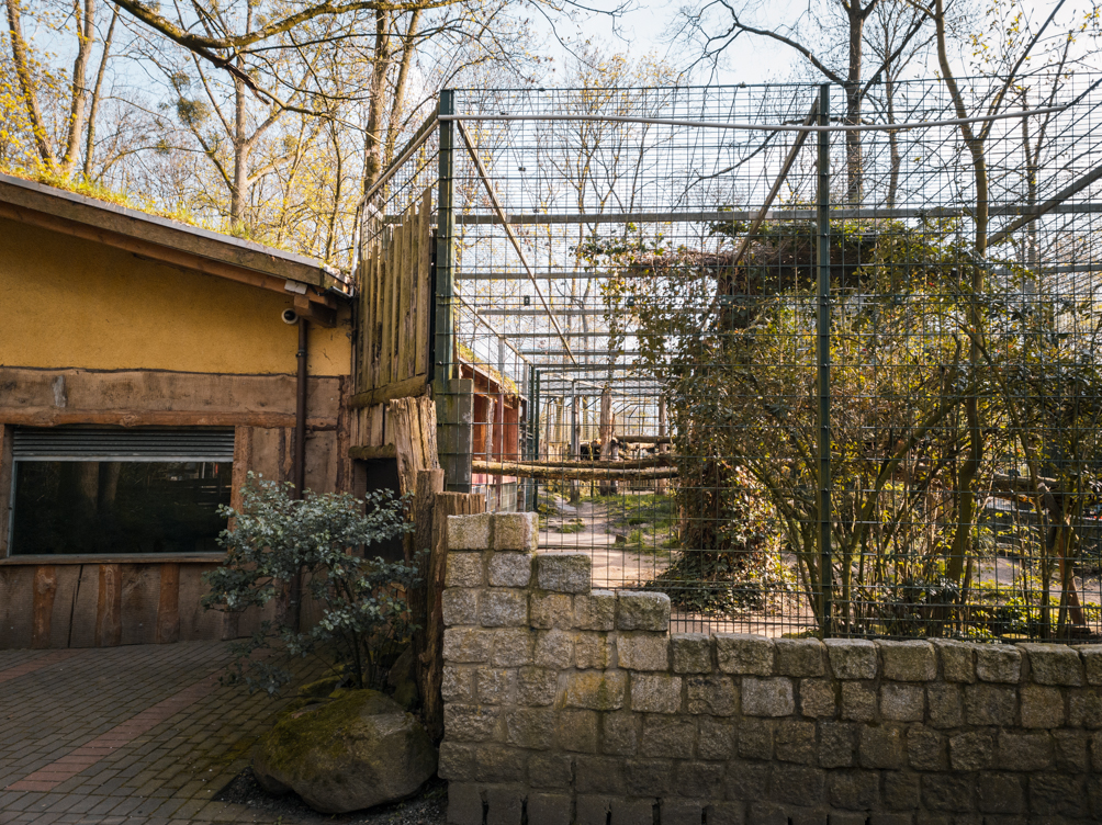 Tiger enclosure with indoor area