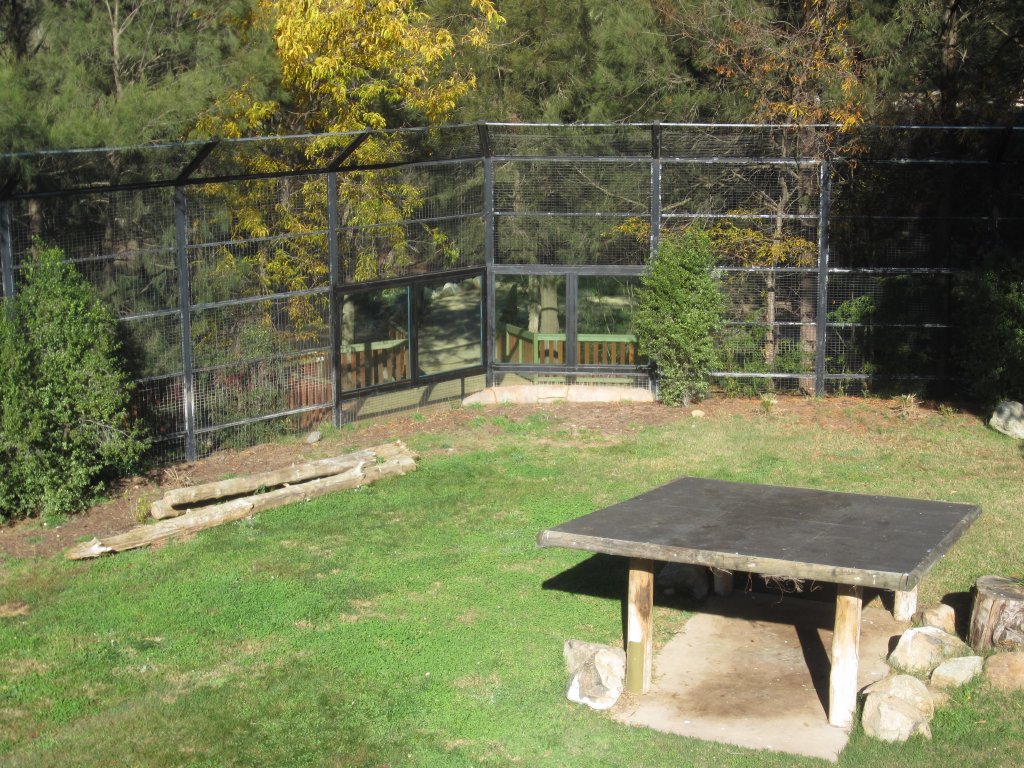 Tiger enclosure with new windows