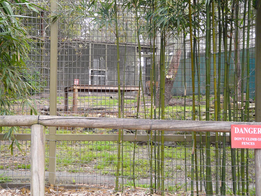 Tiger enclosure