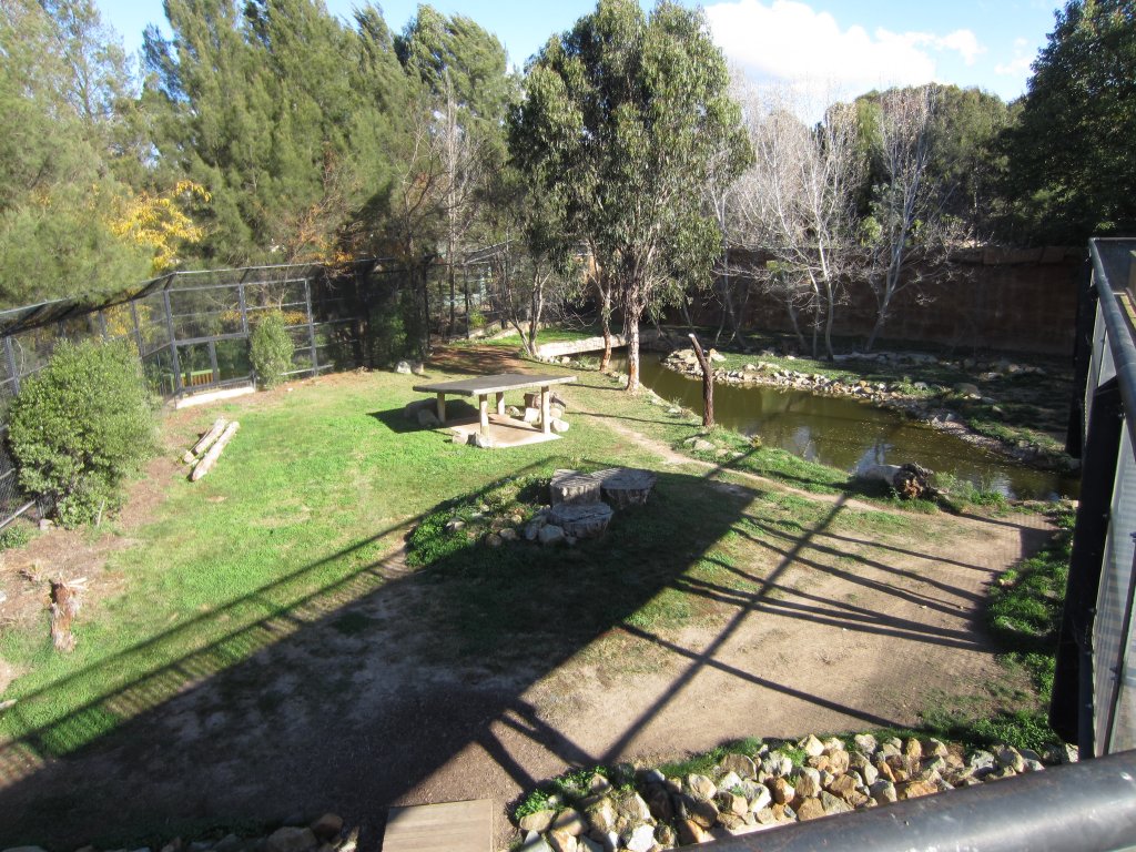 Tiger enclosure