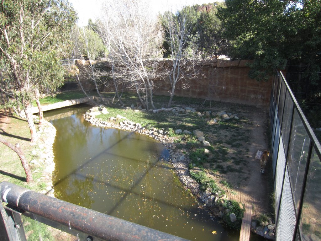 Tiger enclosure