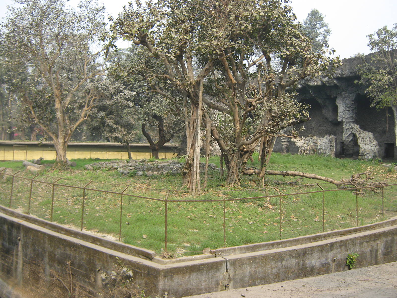 tiger enclosure