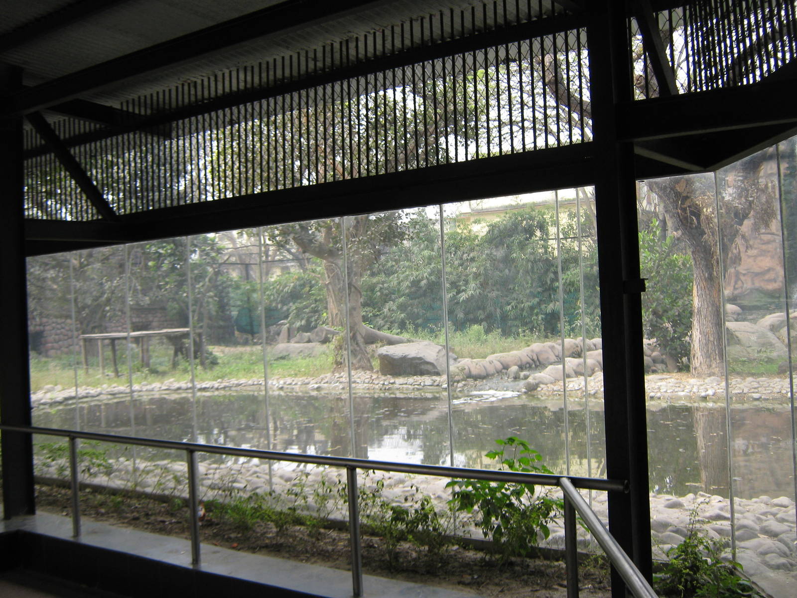 tiger enclosure