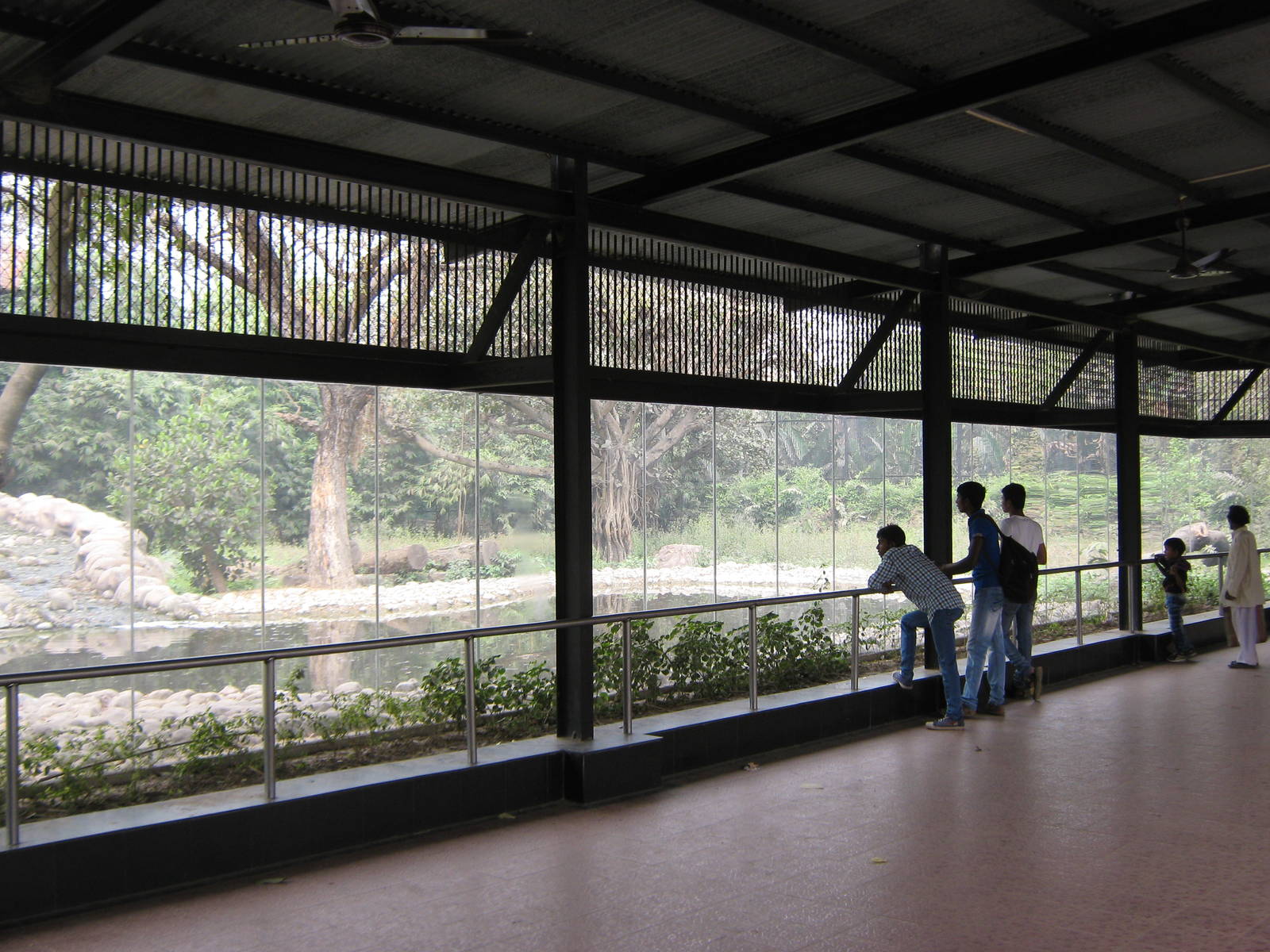 tiger enclosure