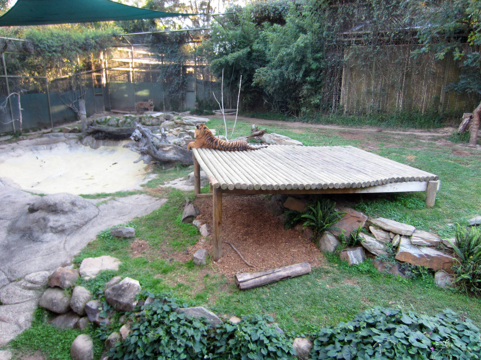 Tiger enclosure