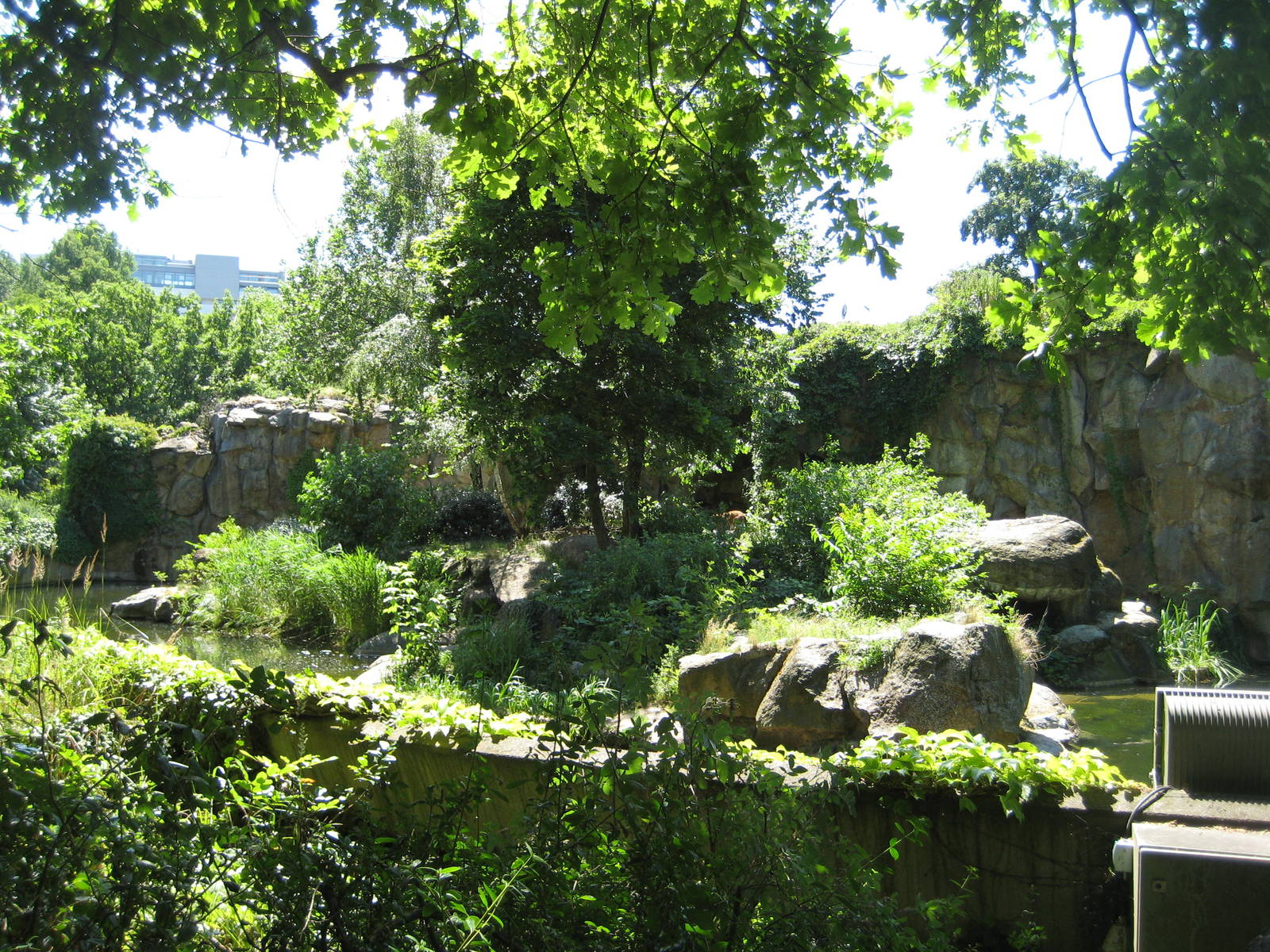Tiger Enclosure