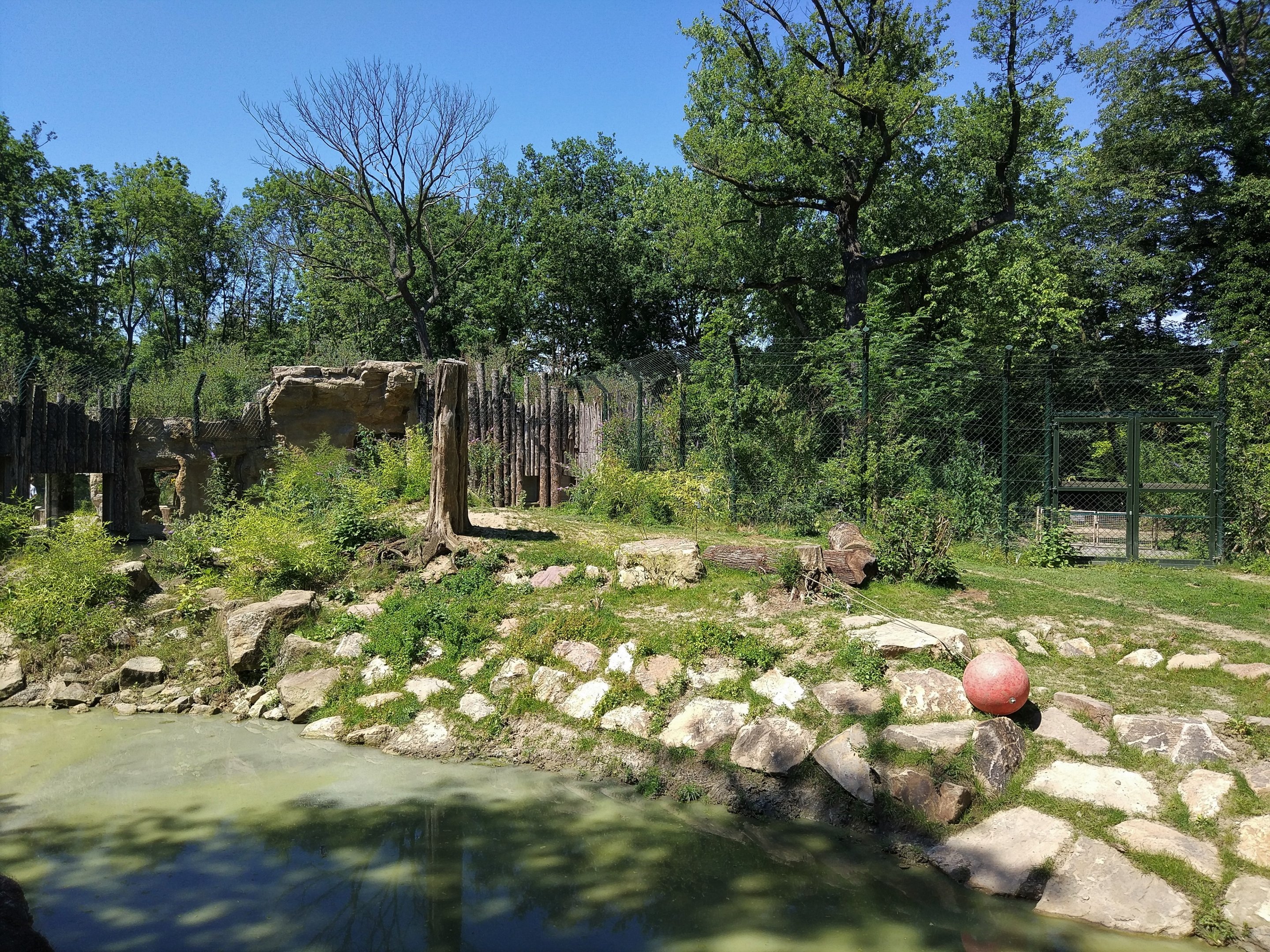 Tiger Enclosure