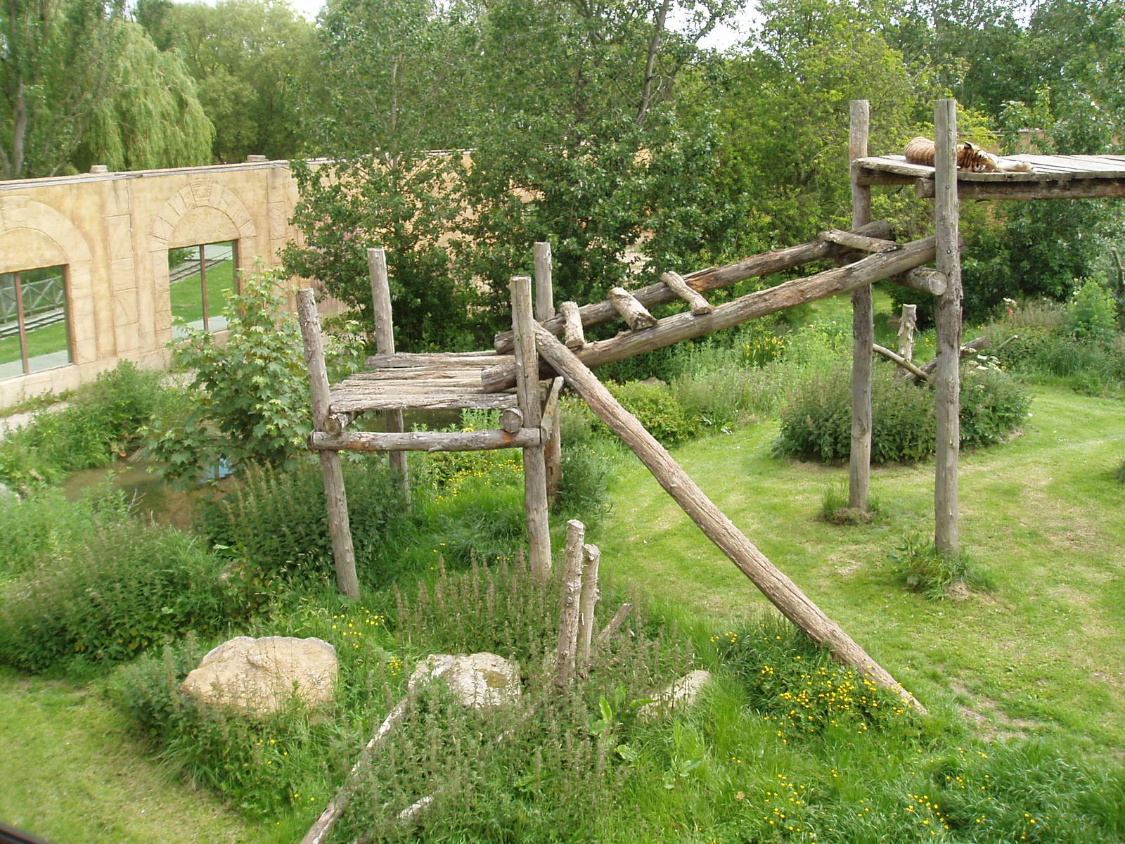 Tiger enclosure