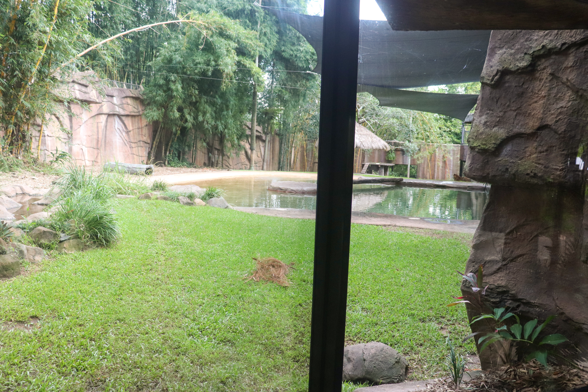 Tiger Enclosure