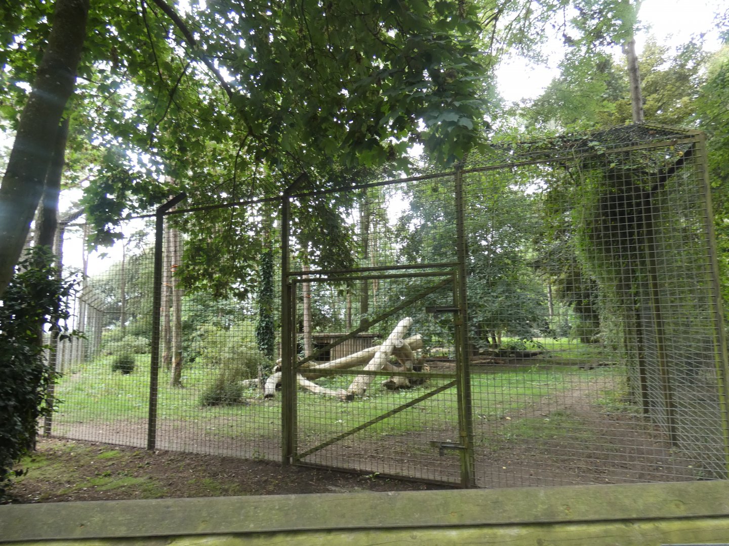 Tiger enclosure