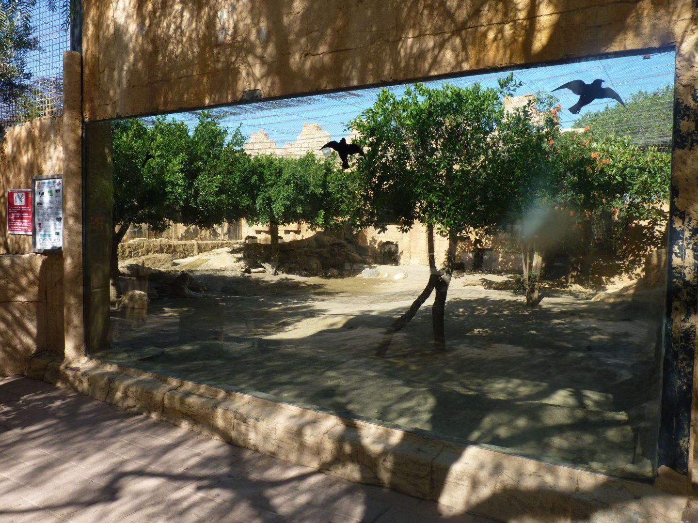 Tiger enclosure