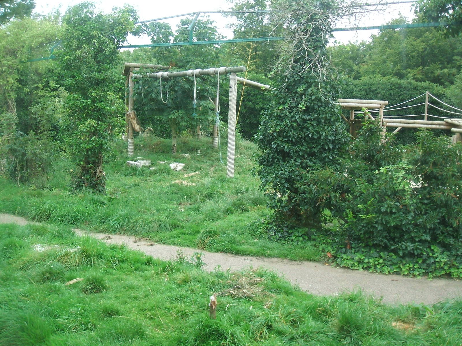 Tiger enclosure