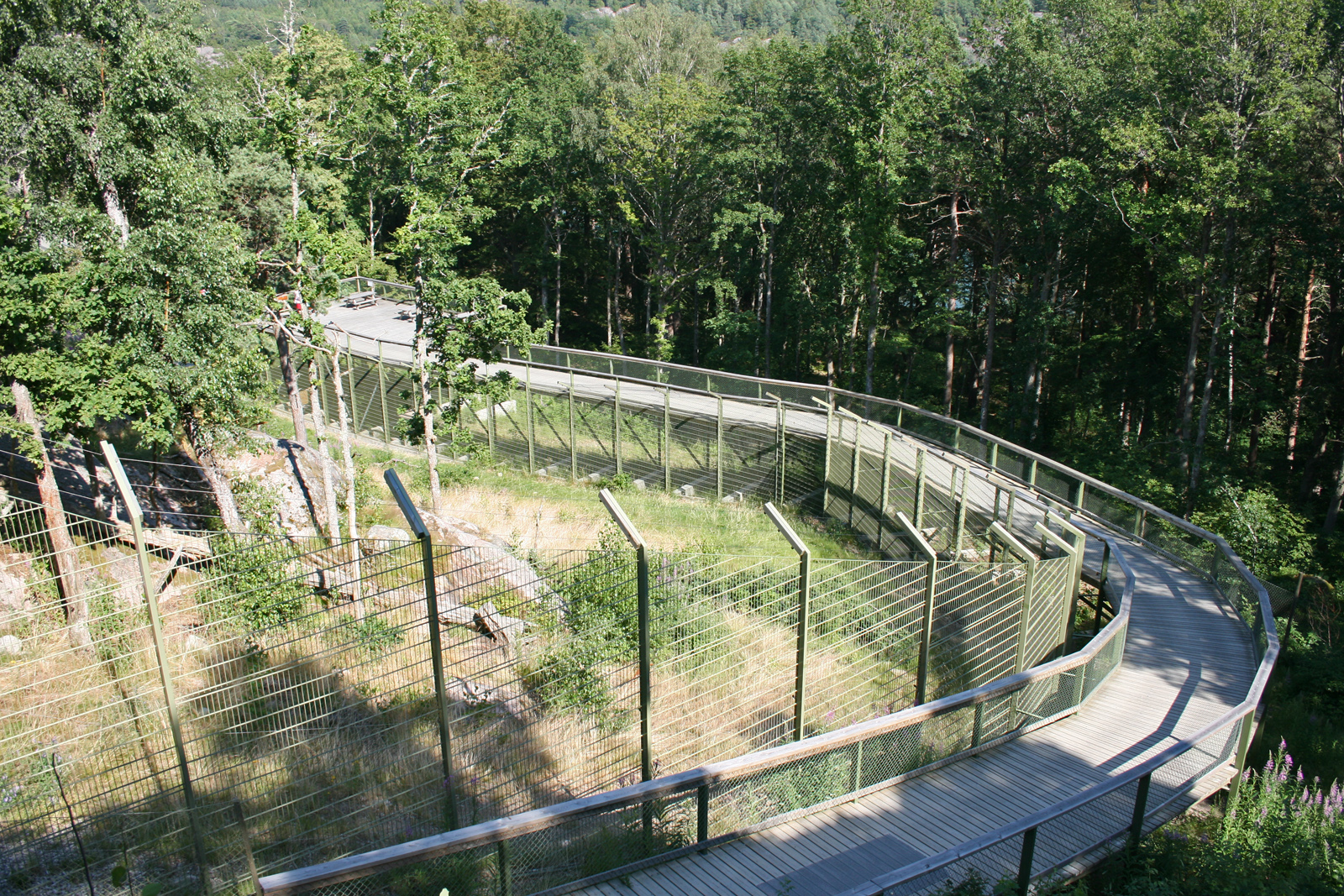 Tiger enclosure
