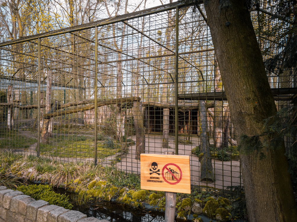 Tiger enclosure