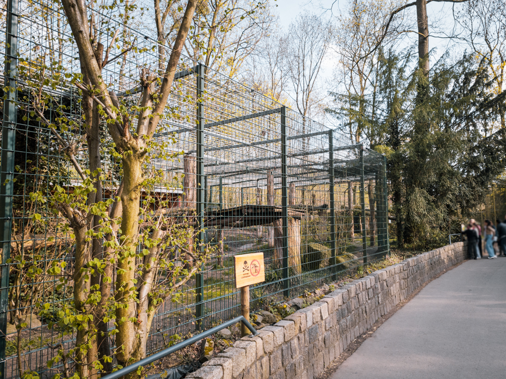 Tiger enclosure