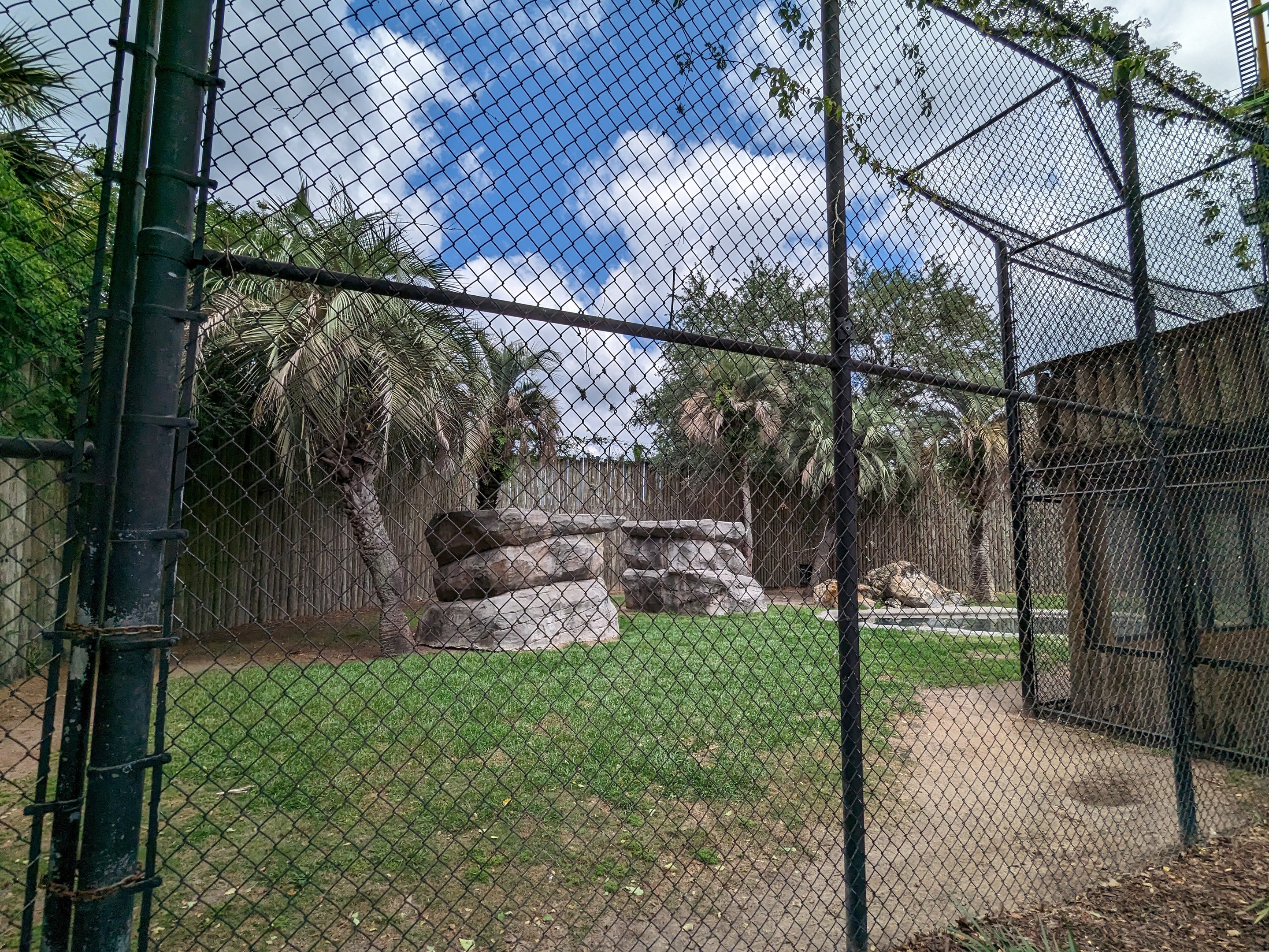 Tiger enclosure