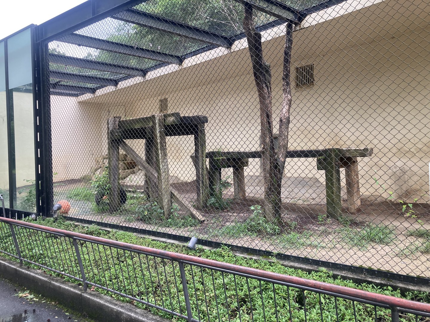 Tiger enclosure
