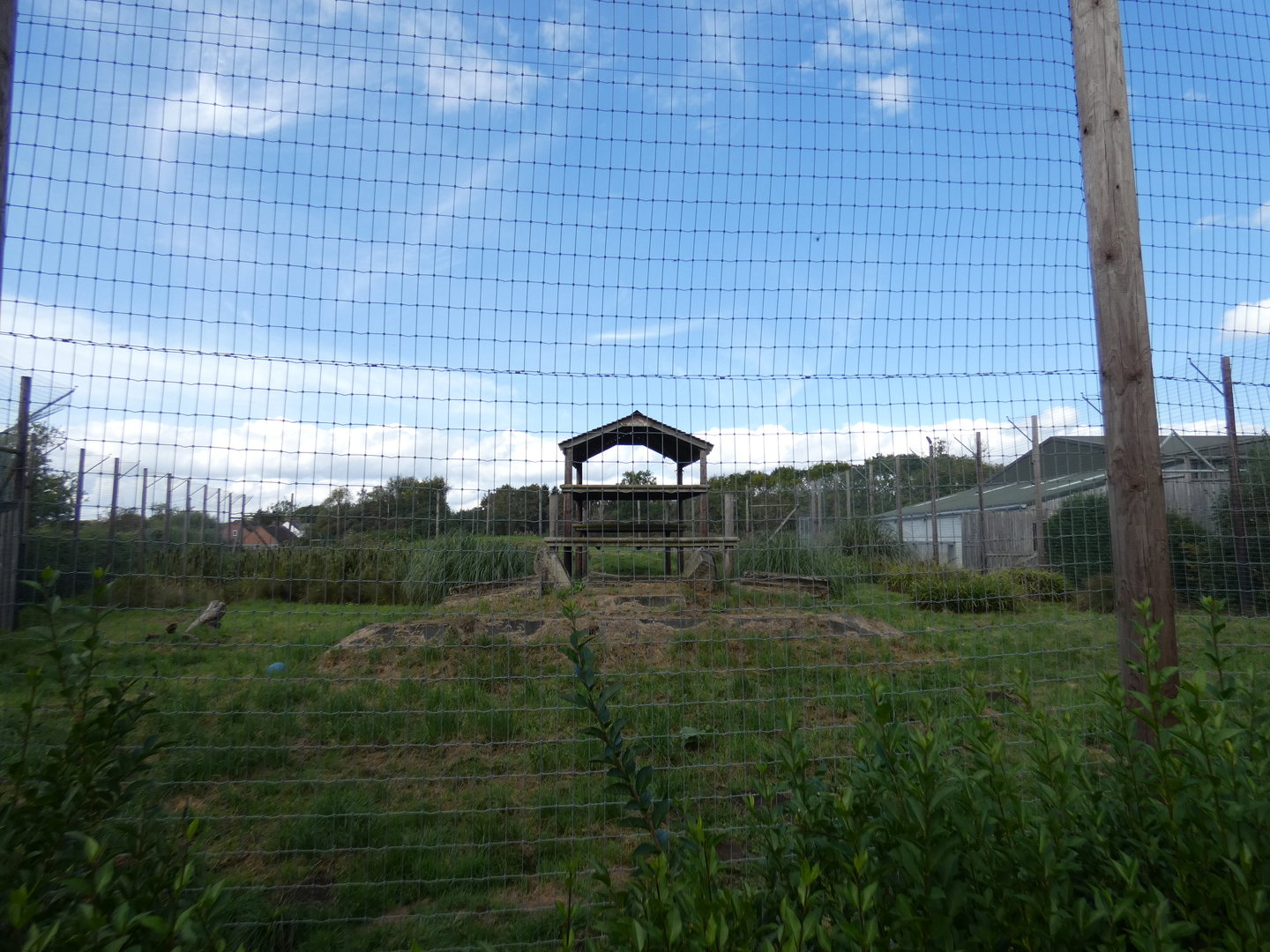 Tiger enclosure