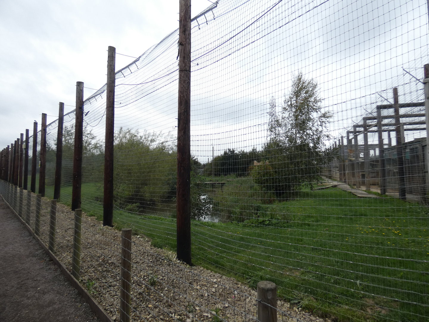 Tiger enclosure