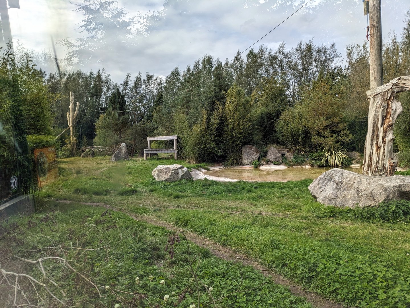 Tiger Enclosure