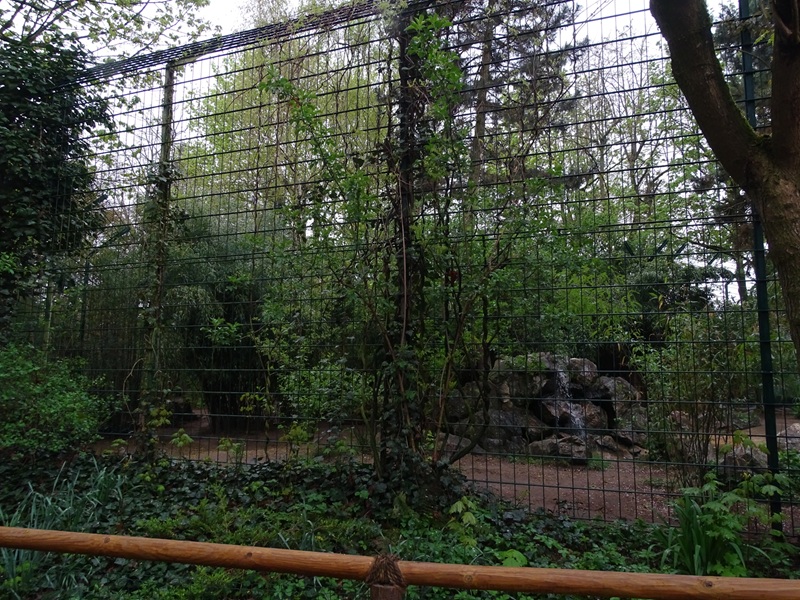 Tiger enclosure