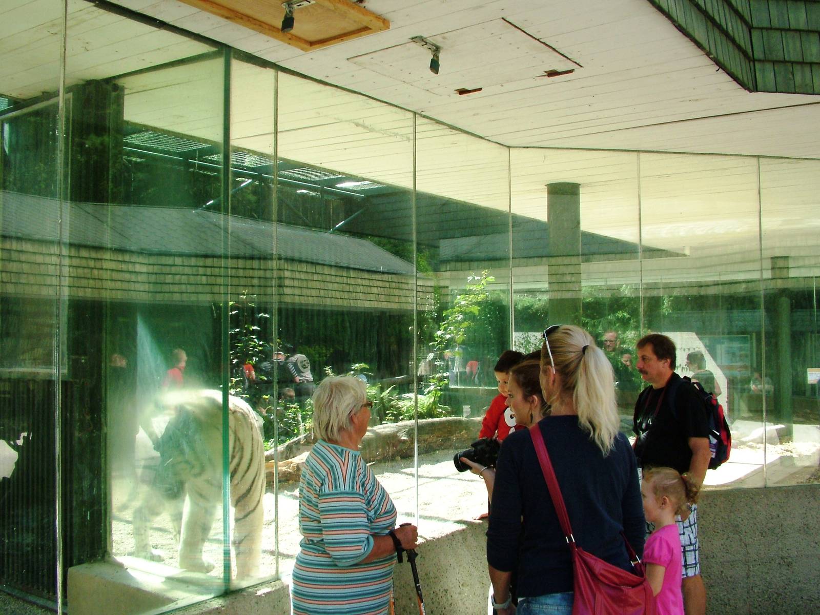 Tiger Enclosures at Liberec, 28/08/12
