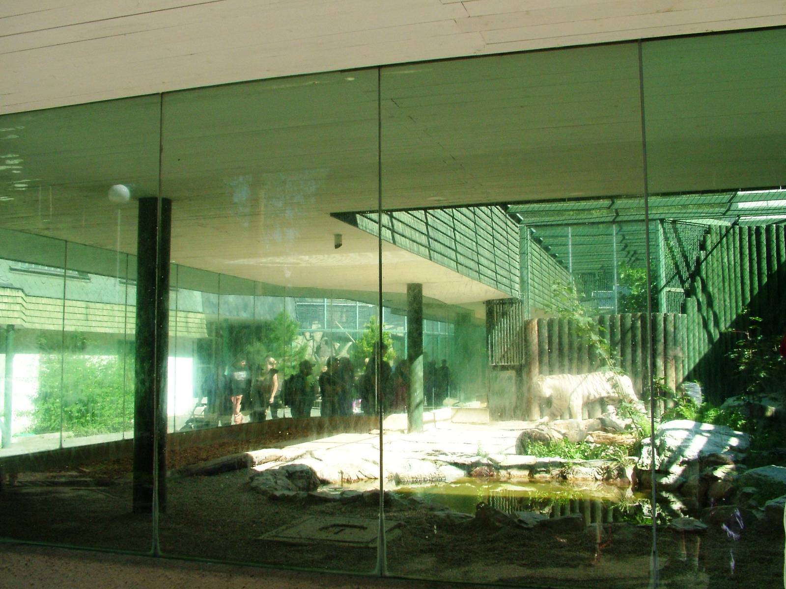 Tiger Enclosures at Liberec, 28/08/12