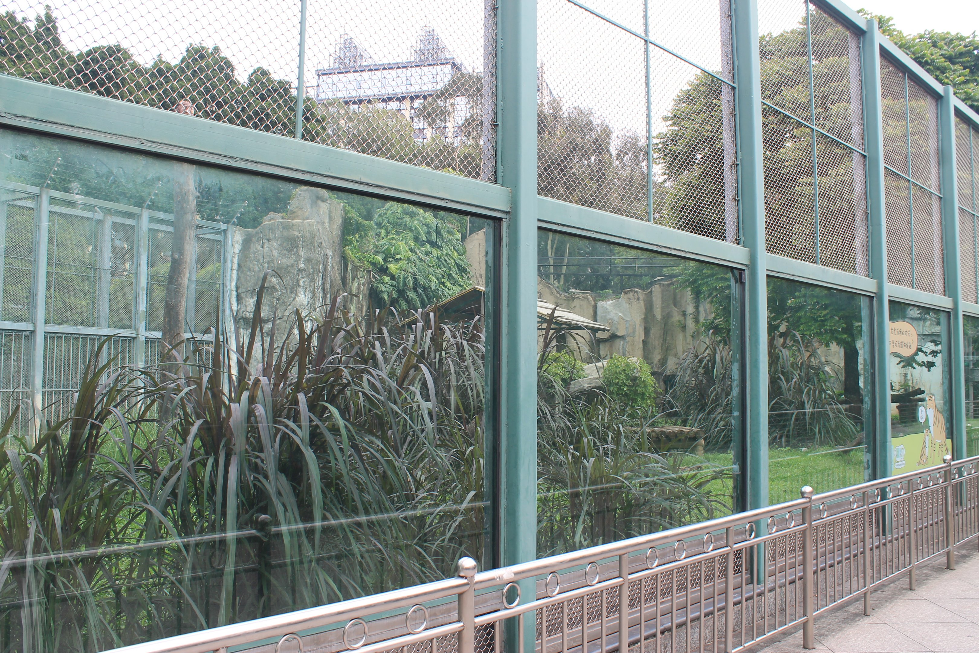 Tiger enclosures