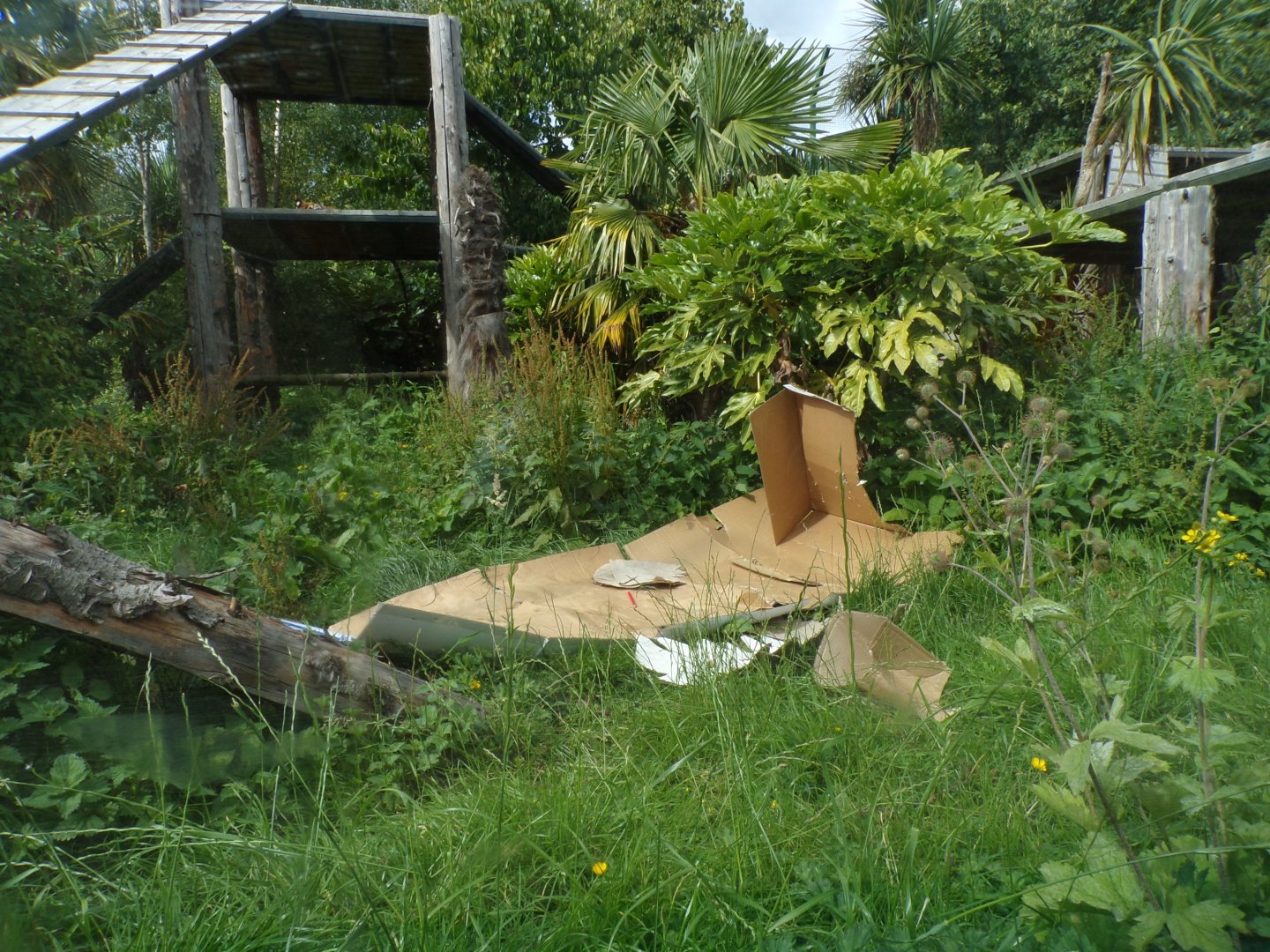 Tiger enrichment 18.7.25