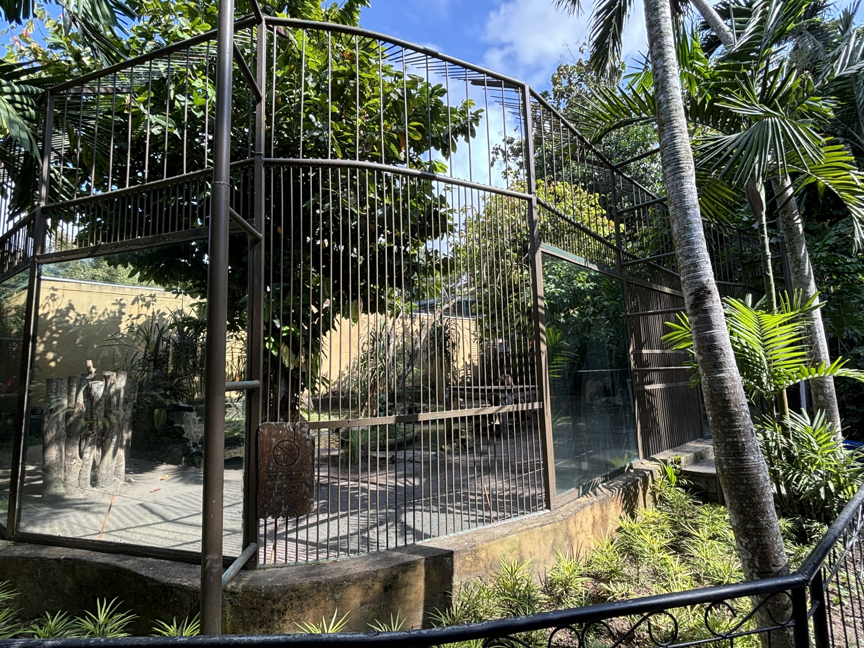 Tiger Exhibit #1 - Bengal